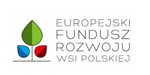 europejski fundusz rozwoju wsi polskiej