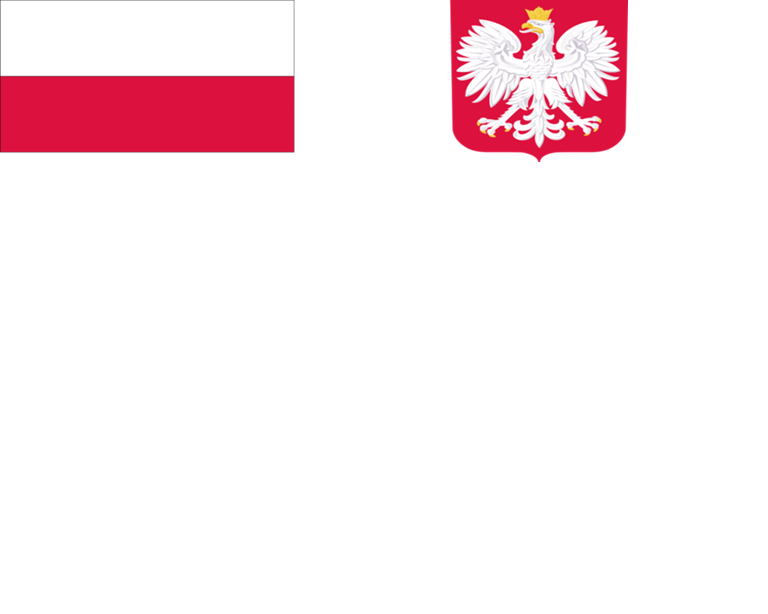 Flaga i orzeł